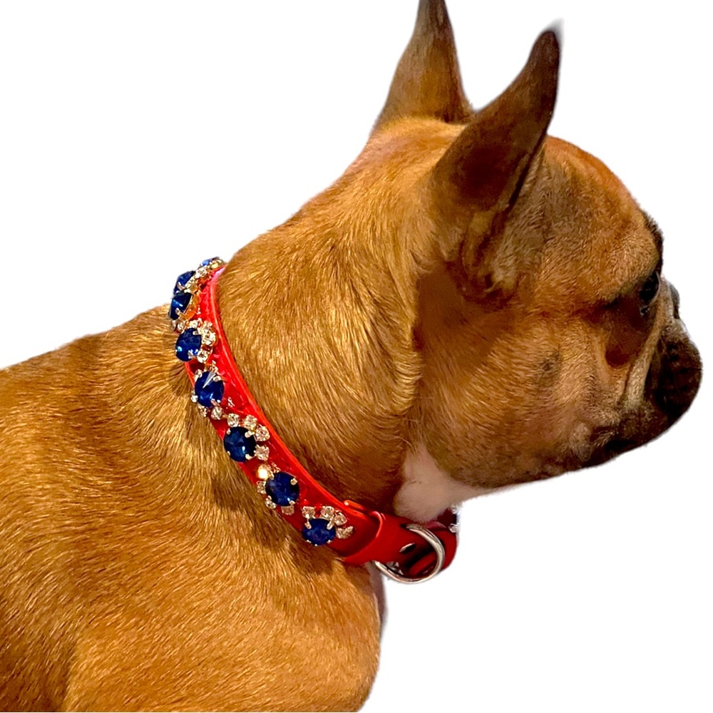 Bad and Blingy Collar